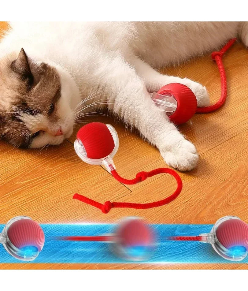 Cat Interactive Ball Toy, Automatic Rolling Ball with Tail, Rechargeable Smart Pet Interactive Toy, Intelligent Mouse for Cat